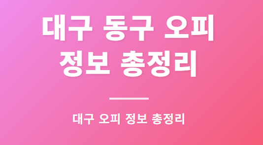 대구 동구오피