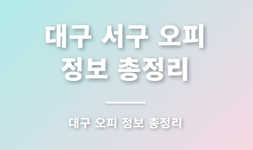 대구 서구 오피 총정리