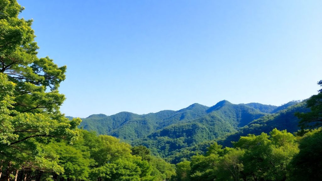 대구 앞산공원 자연경관과 울창한 산림
